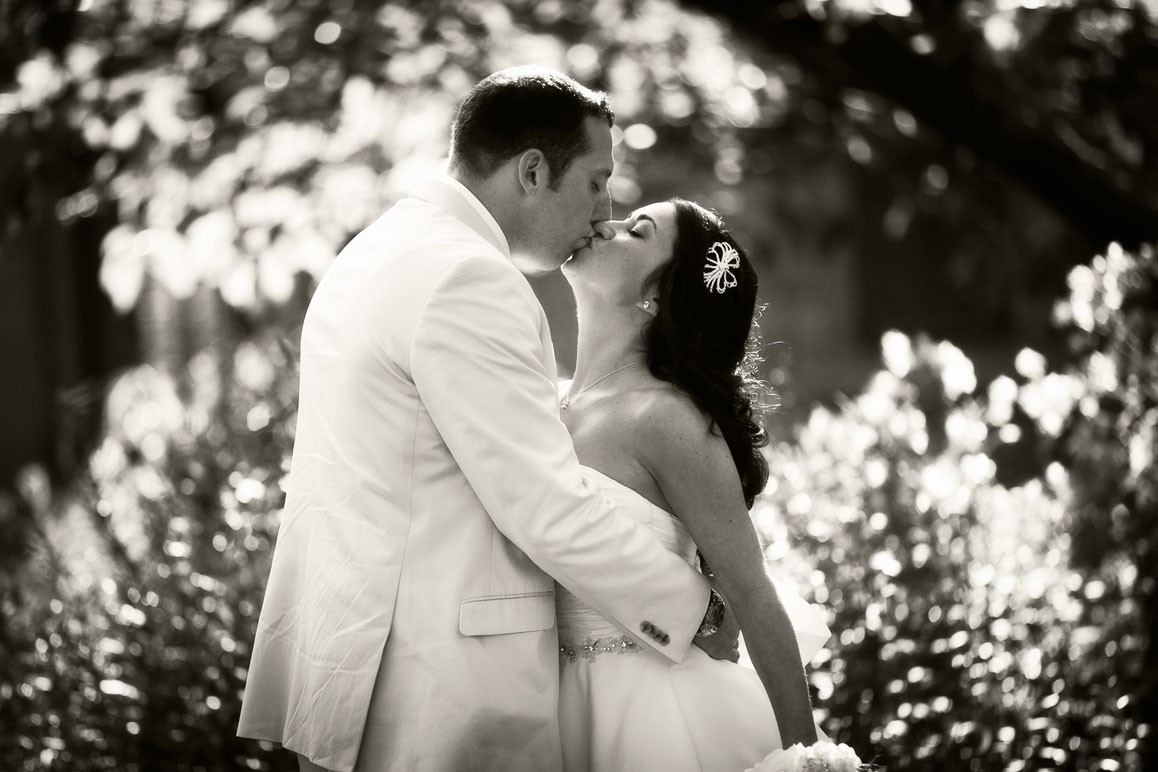 Backlit photo of couple kissing with flowers in background