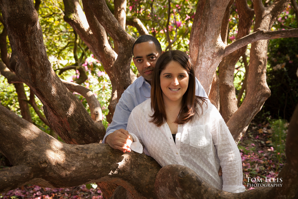 Engagement photos of couple near tree