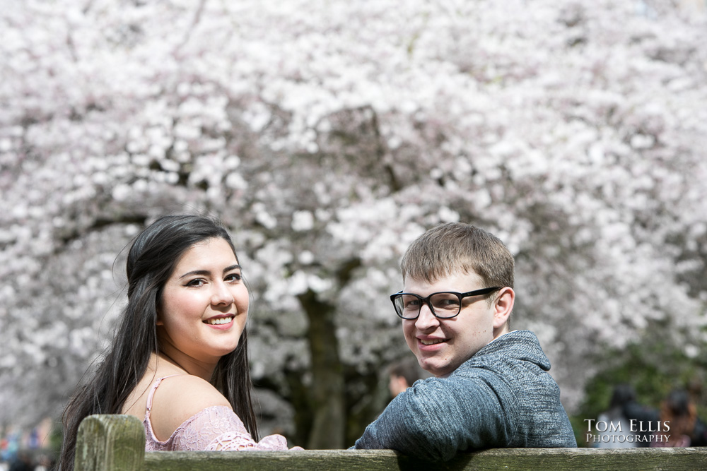 Yoshimi and Jake with the cherry trees during their engagement photo session at the UW campus