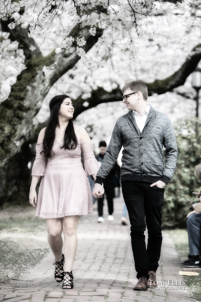 Yoshimi and Jake stroll through the cherry trees during their engagement photo session at the UW campus