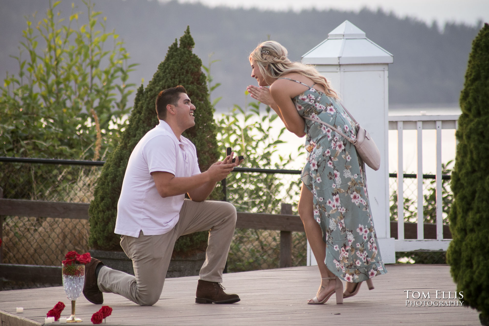 Alex takes a knee and shows the engagement ring as he proposes to Amy at Pioneer Orchard Park. Tom Ellis Photography, Seattle engagement photographer