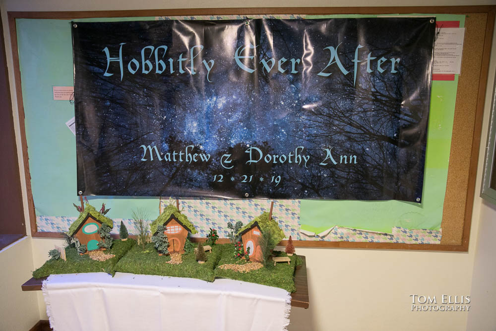 Fantastic fantasy HTTYD wedding - Tom Ellis Photography, Seattle wedding photographer