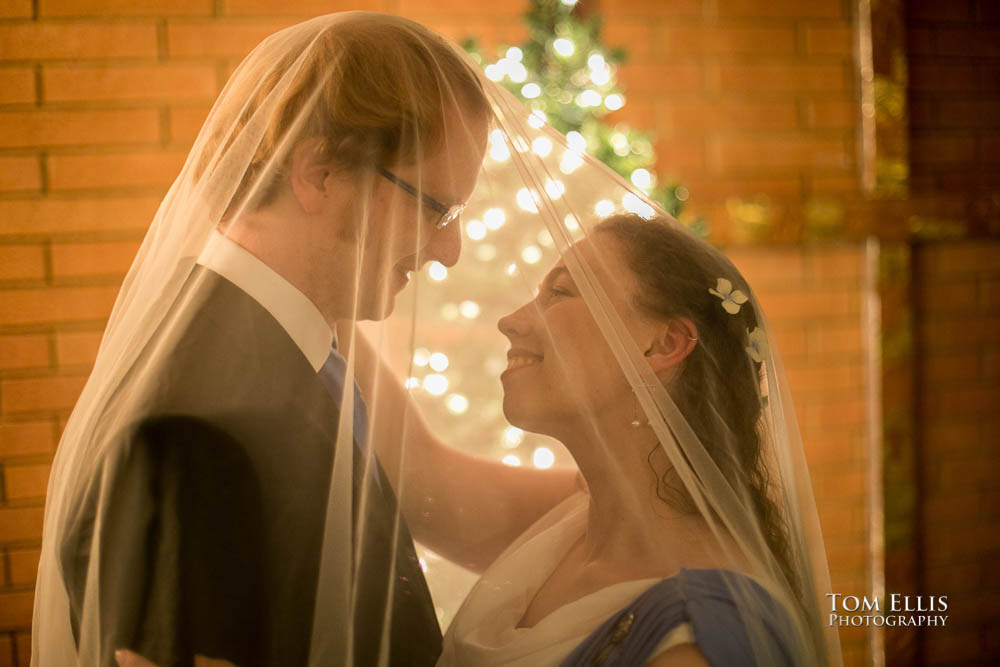 Fantastic fantasy and science fiction HTTYD wedding - Tom Ellis Photography, Seattle wedding photographer