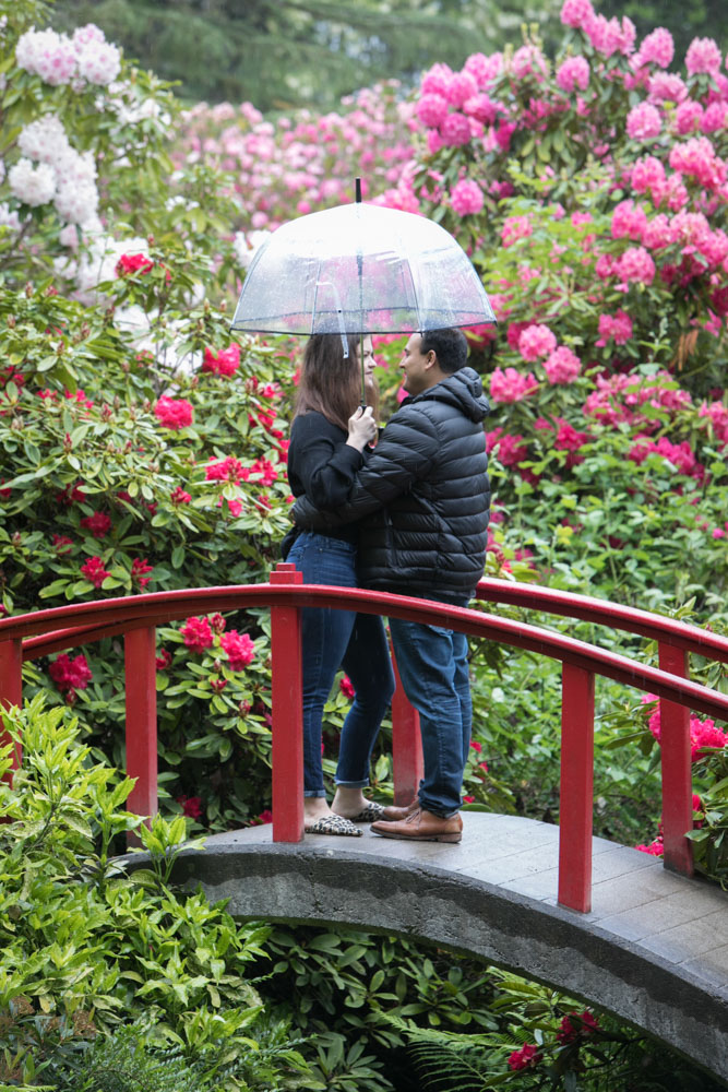 Frank and Whitney's surprise Seattle proposal and engagement session at Kubota Garden. Tom Ellis Photography, top-rated engagement photographer