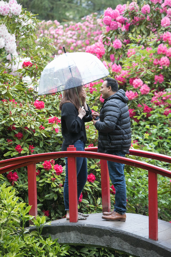 Frank and Whitney's surprise Seattle proposal and engagement session at Kubota Garden. Tom Ellis Photography, top-rated engagement photographer