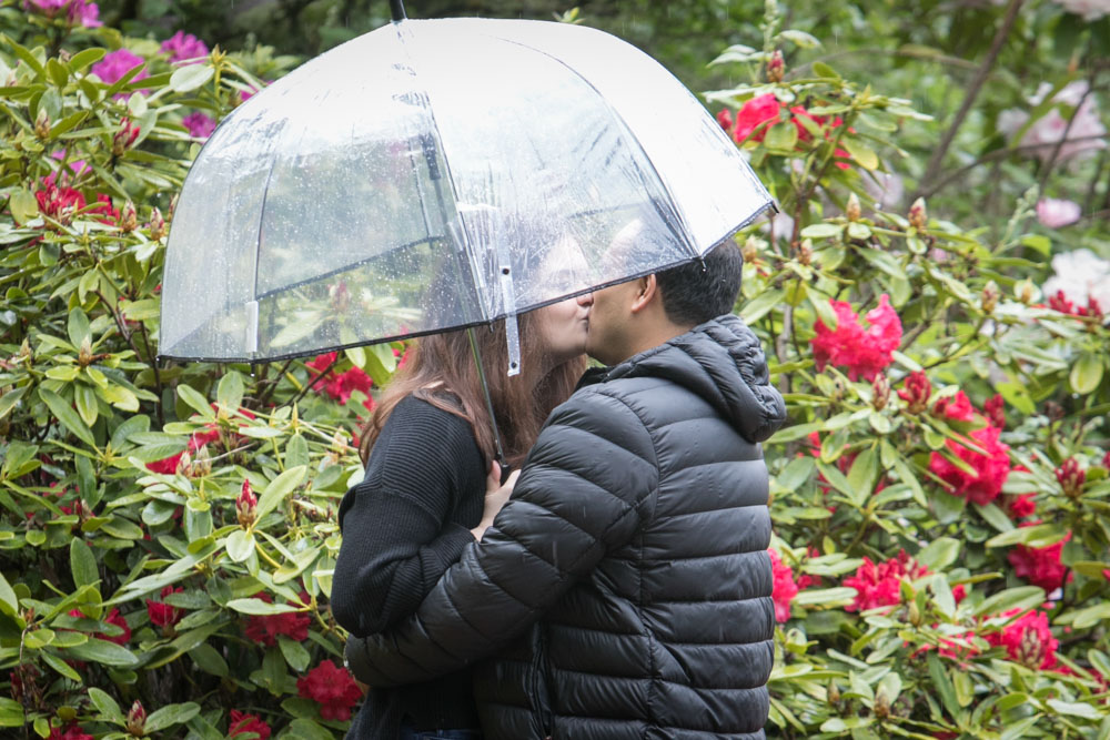 Frank and Whitney's surprise Seattle proposal and engagement session at Kubota Garden. Tom Ellis Photography, top-rated engagement photographer