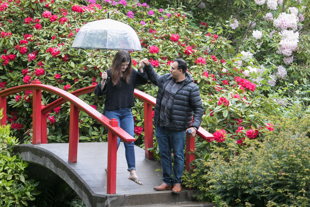 Frank and Whitney's surprise Seattle proposal and engagement session at Kubota Garden. Tom Ellis Photography, top-rated engagement photographer