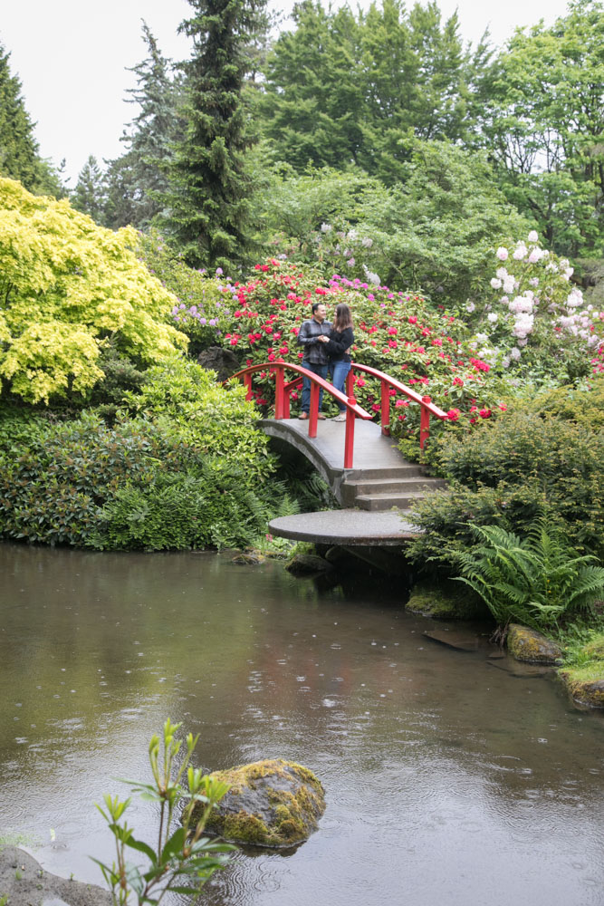 Frank and Whitney's surprise Seattle proposal and engagement session at Kubota Garden. Tom Ellis Photography, top-rated engagement photographer