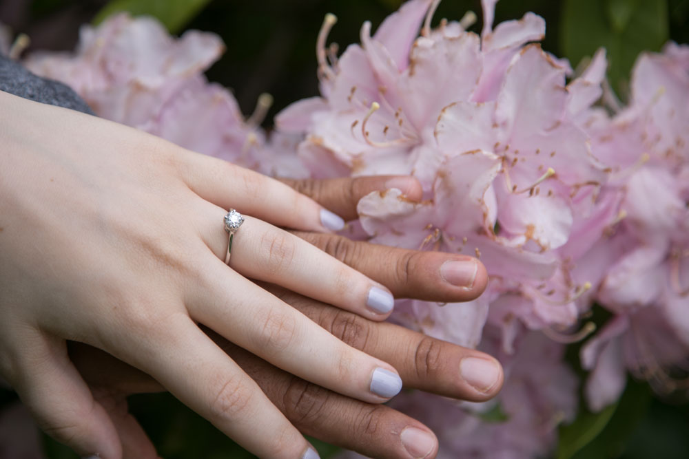 Frank and Whitney's surprise Seattle proposal and engagement session at Kubota Garden. Tom Ellis Photography, top-rated engagement photographer