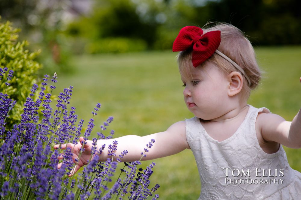 Family and first birthday photo session at the Bellevue Botanical Garden. Tom Ellis Photography, Seattle family photographer