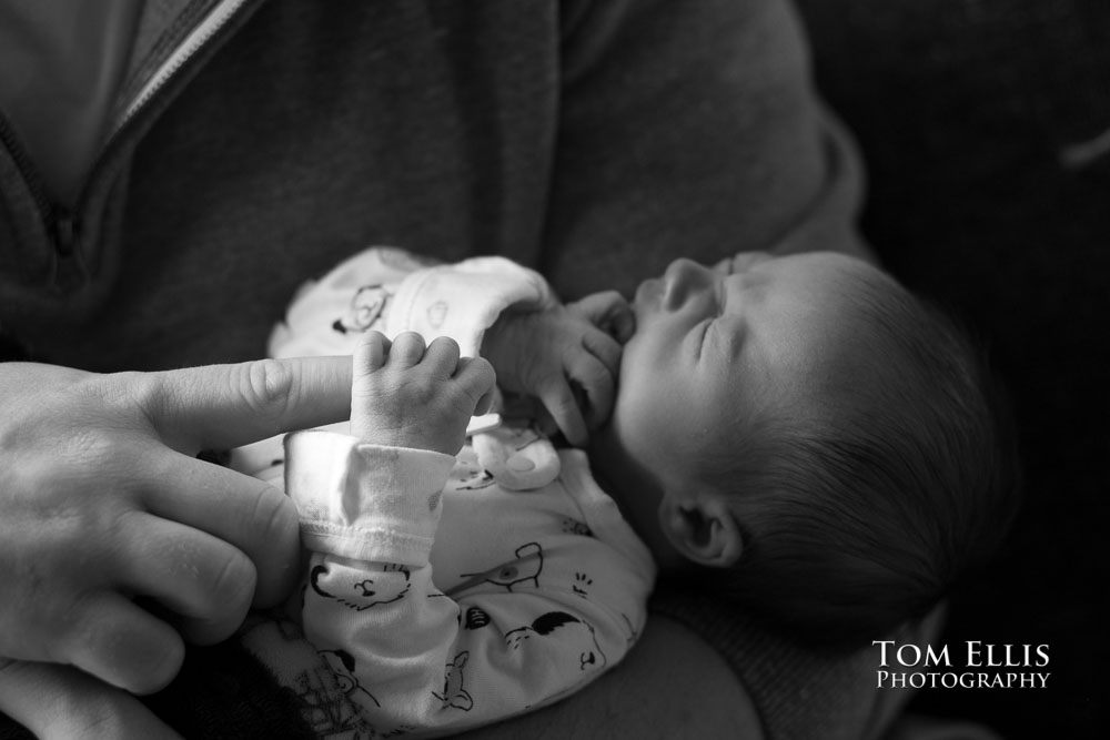 Newborn baby photo session with 5 day old Hailey. Tom Ellis Photography, Seattle newborn and family photographer.