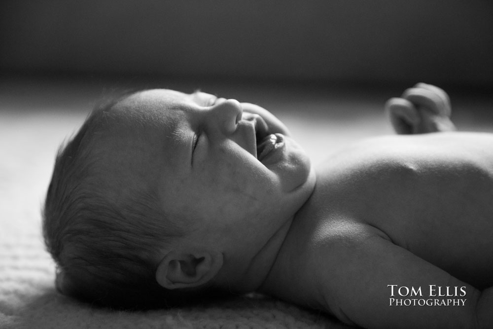 Newborn baby photo session with 5 day old Hailey. Tom Ellis Photography, Seattle newborn and family photographer.