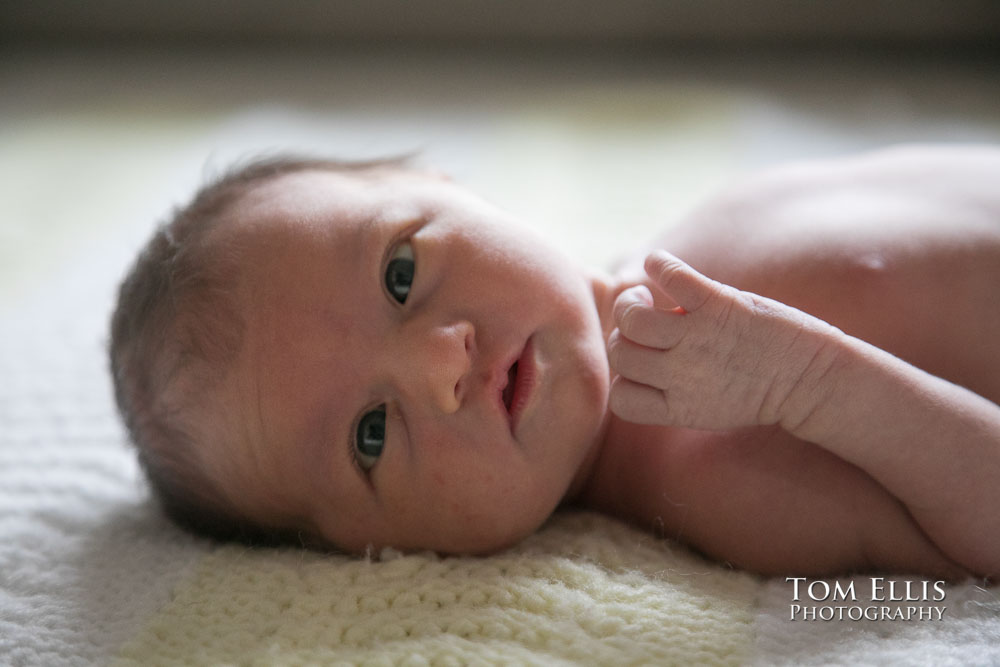 Close up photo of baby Hailey during our newborn photo session. Tom Ellis Photography, Seattle family photographer