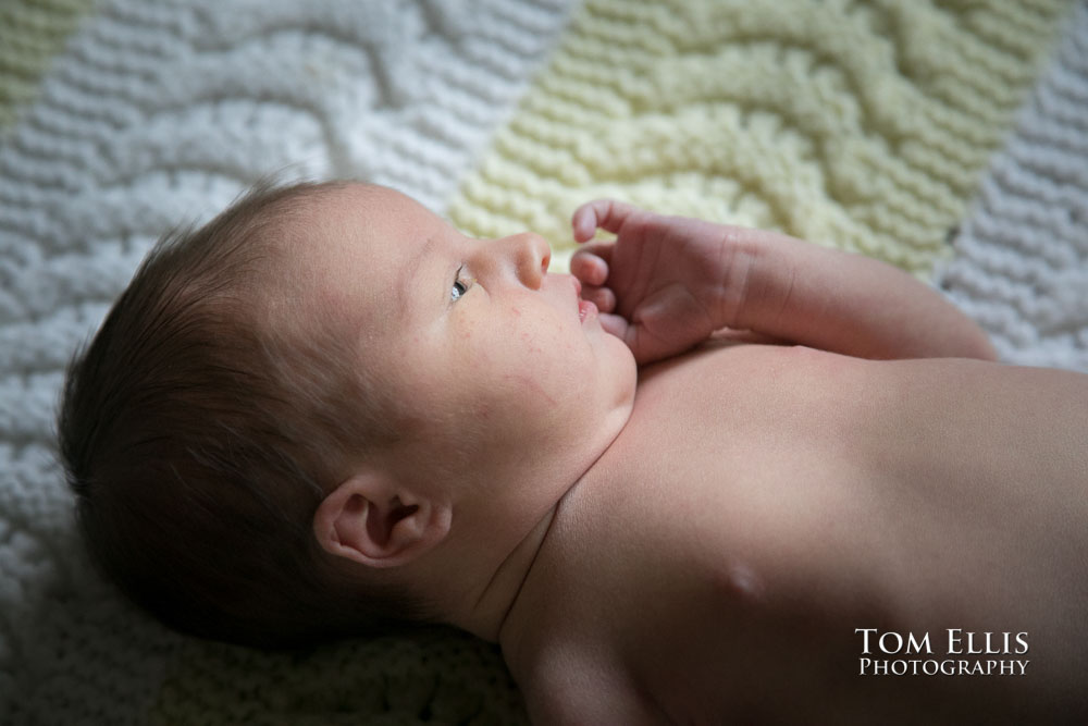 Newborn baby photo session with 5 day old Hailey. Tom Ellis Photography, Seattle newborn and family photographer.