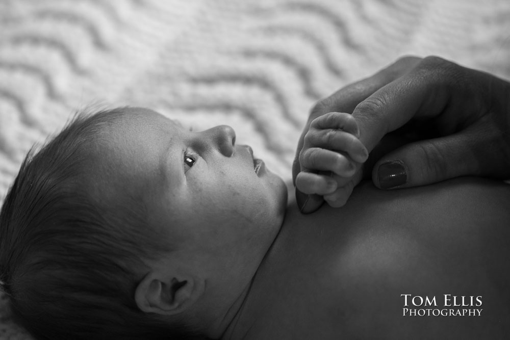 Newborn baby photo session with 5 day old Hailey. Tom Ellis Photography, Seattle newborn and family photographer.