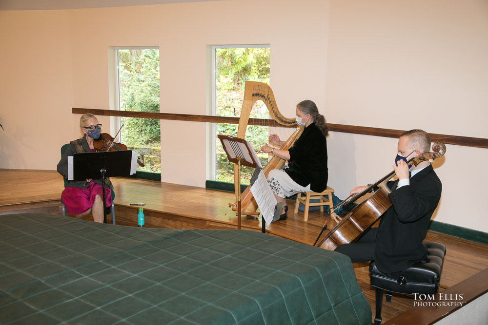 The wedding ceremony musicians. Sensational Seattle same-sex LGBTQ wedding. Tom Ellis Photography, Seattle Wedding Photographer