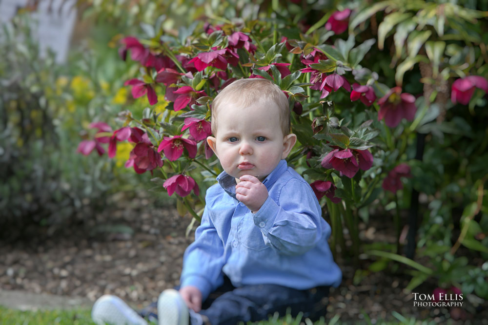 Seattle family photo session at the Bellevue Botanical Garden. Tom Ellis Photography, Seattle family photographer