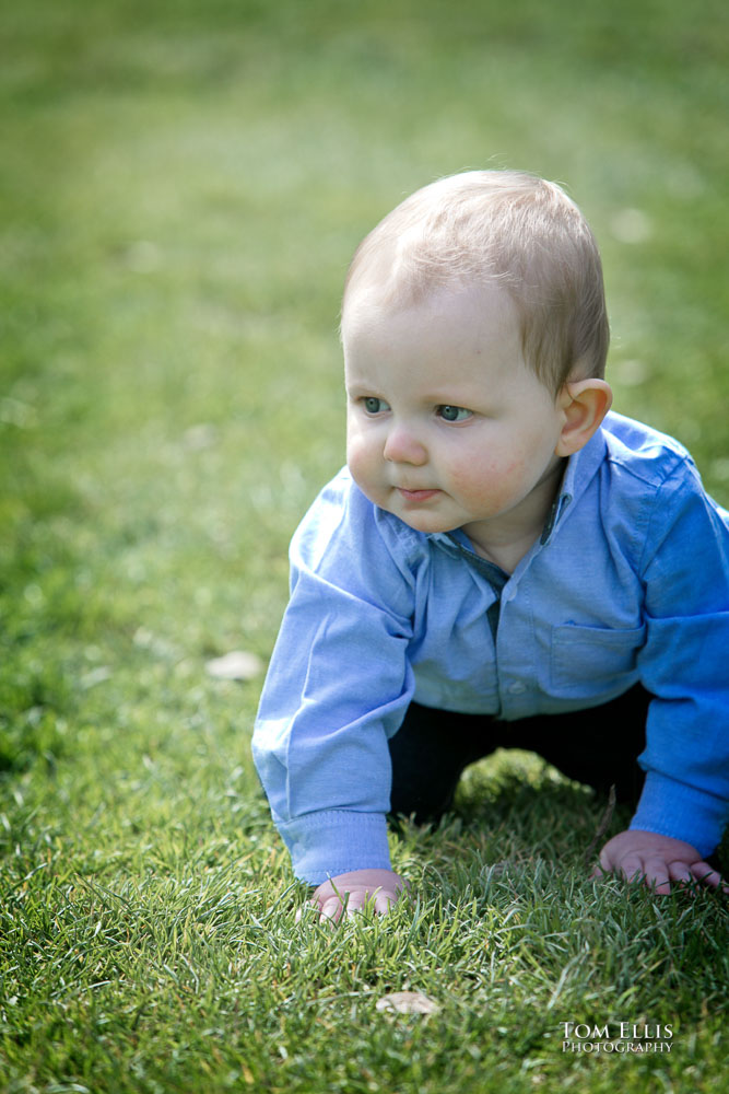 Seattle family photo session at the Bellevue Botanical Garden. Tom Ellis Photography, Seattle family photographer