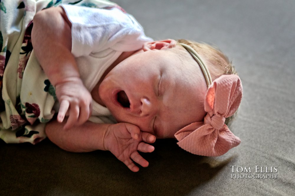 Seattle newborn baby photo session with Ellie and her family. Tom Ellis Photography, Seattle family and baby photographer