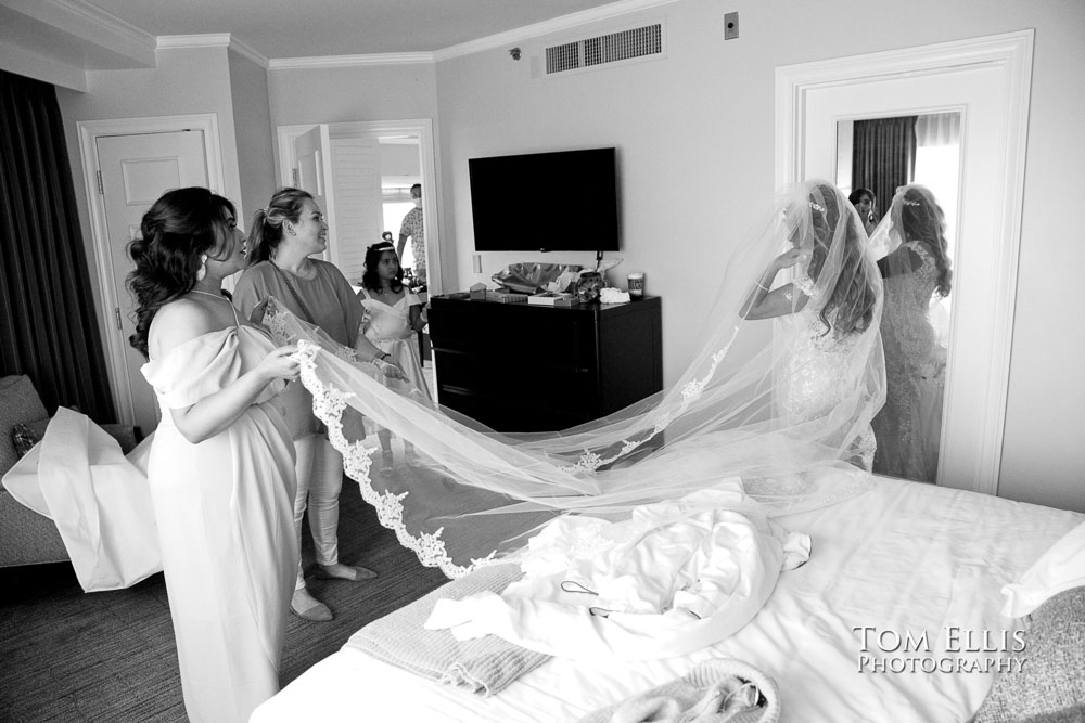 Sunny Seattle outdoor waterfront wedding. Tom Ellis Photography, Seattle wedding photographer