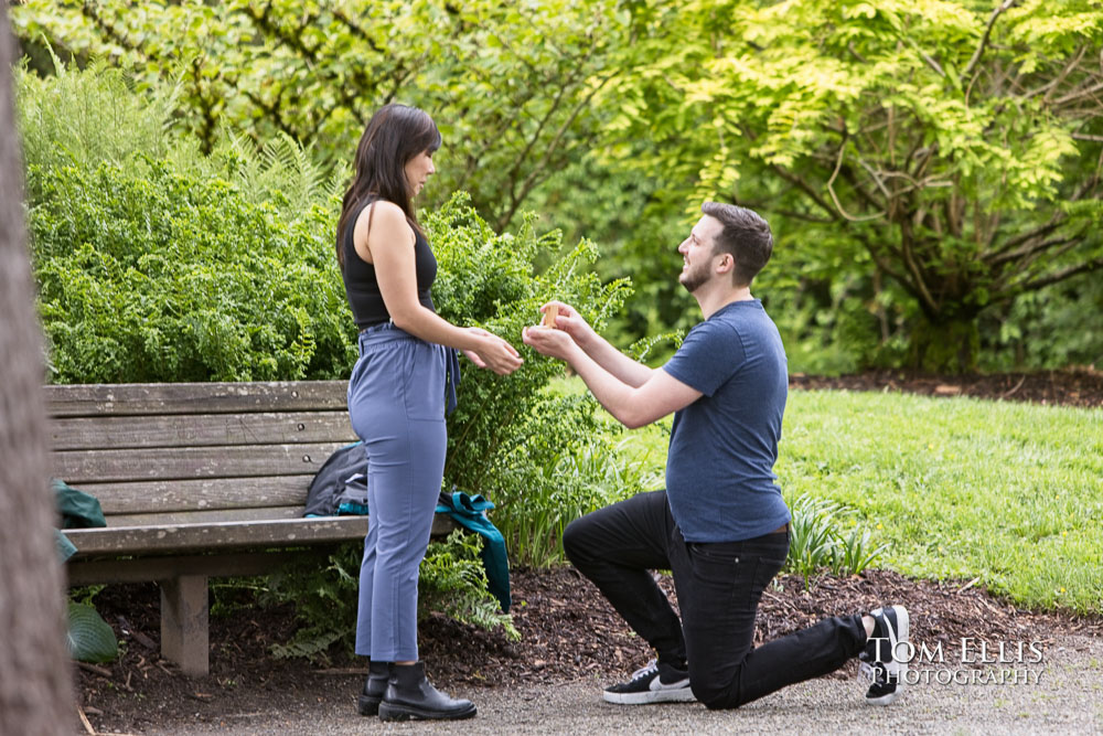 Seattle Kubota Garden surprise proposal. Tom Ellis Photography, Seattle engagement photographer