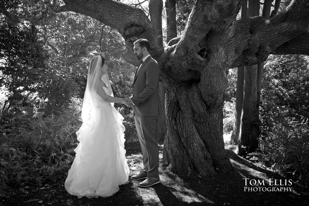 Kerry-Park-Elopement-Wedding-Seattle-Wedding-Photographer