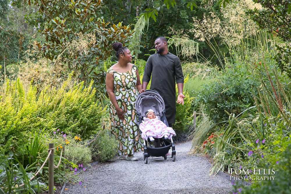 Seattle engagement photos, Bellevue Botanical Garden, Tom Ellis Photography