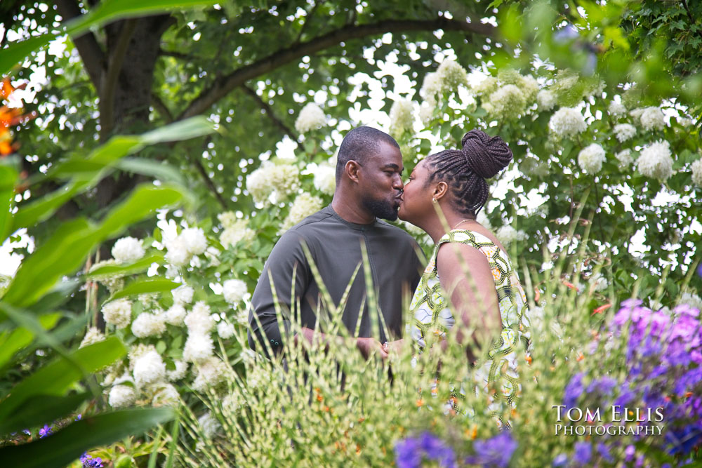 Seattle engagement photos, Bellevue Botanical Garden, Tom Ellis Photography